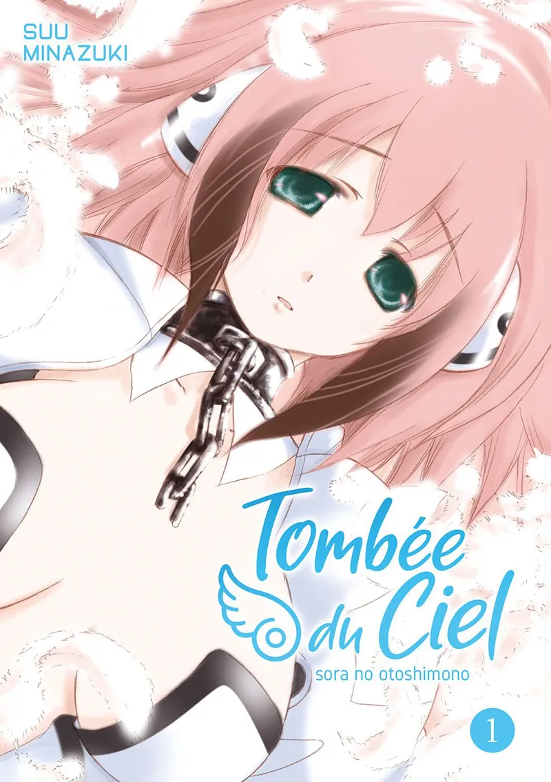 Tombée du Ciel T01