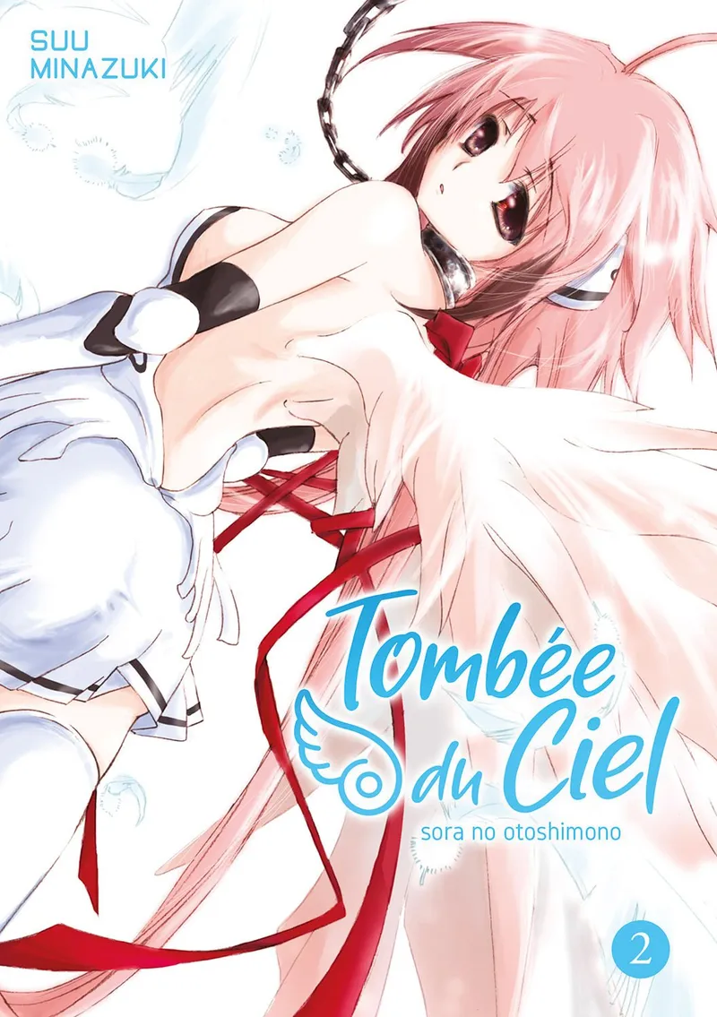 Tombée du Ciel T02