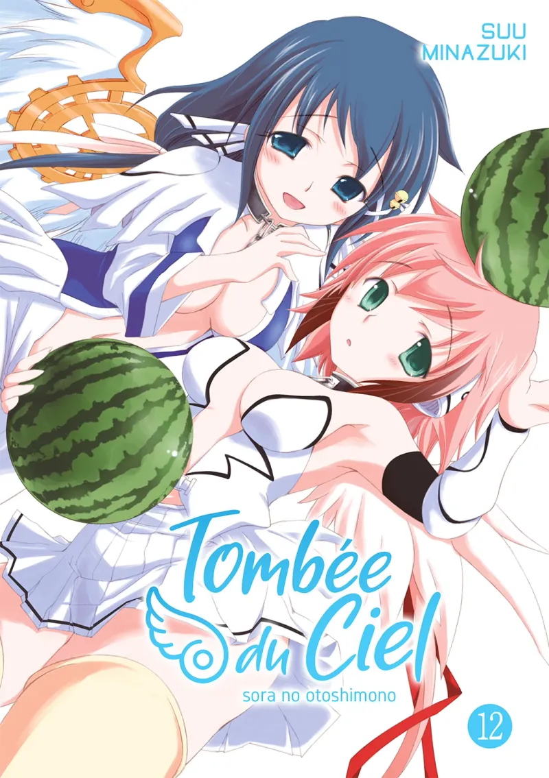 Tombée du Ciel T12