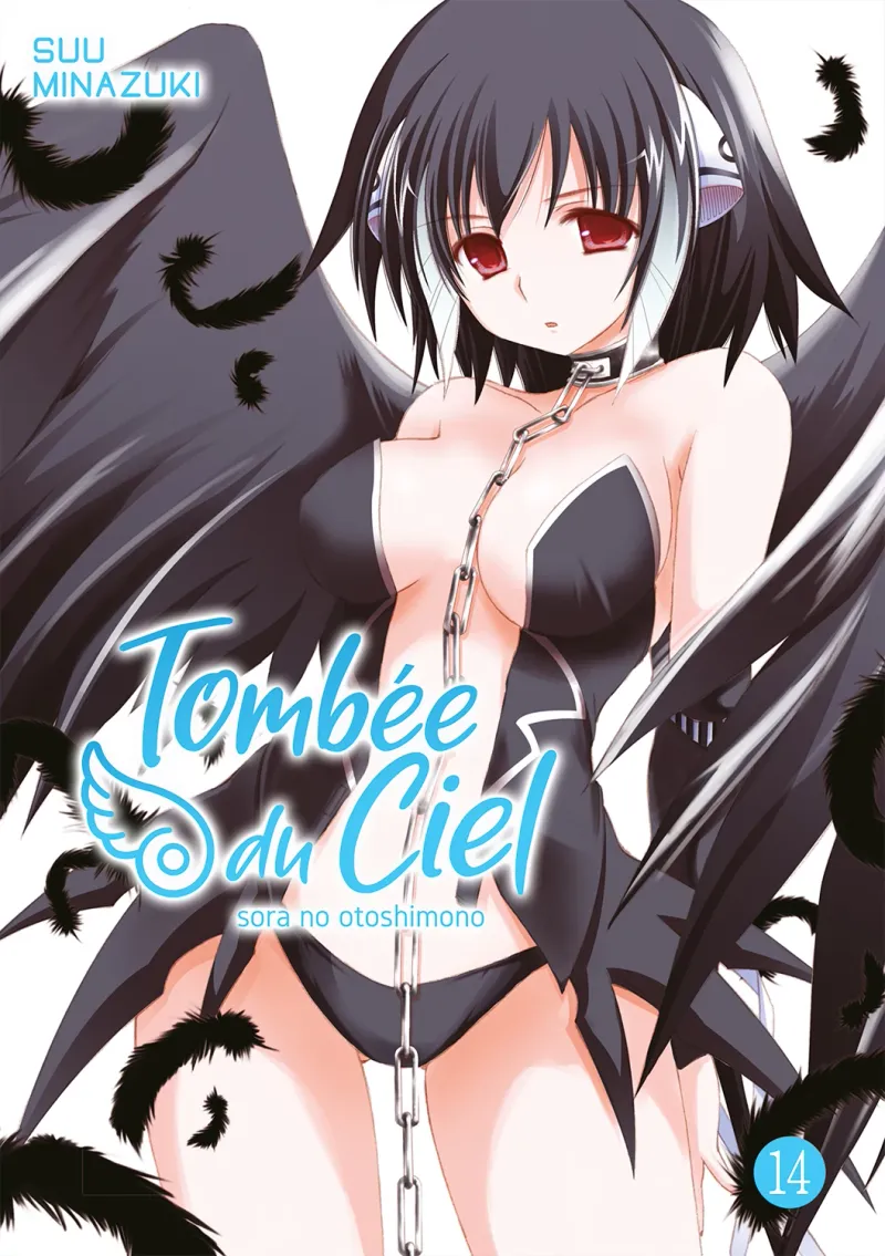 Tombée du Ciel T14