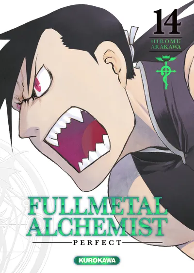 Fullmetal Alchemist T14