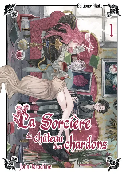La sorcière du Chateau aux Chardons T01