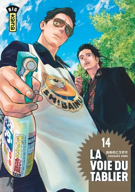 La voie du tablier T14