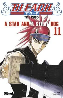 Bleach T11