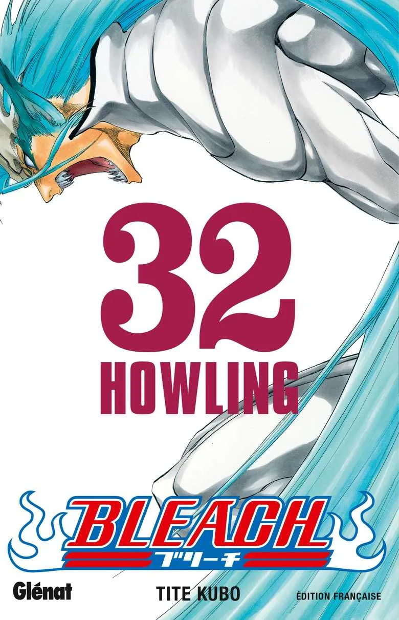 Bleach T32