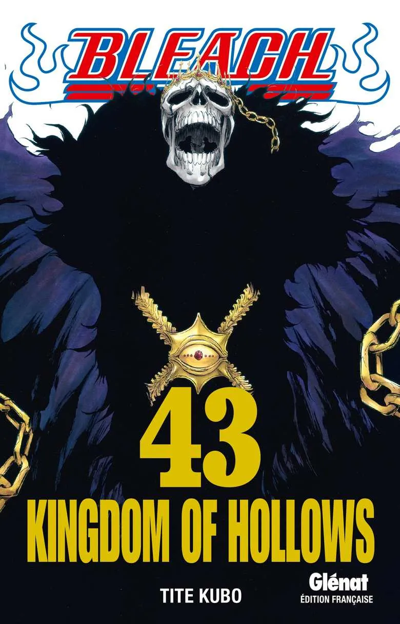 Bleach T43