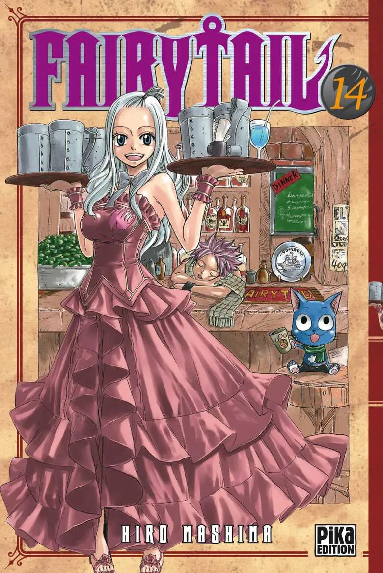 Fairy Tail T14