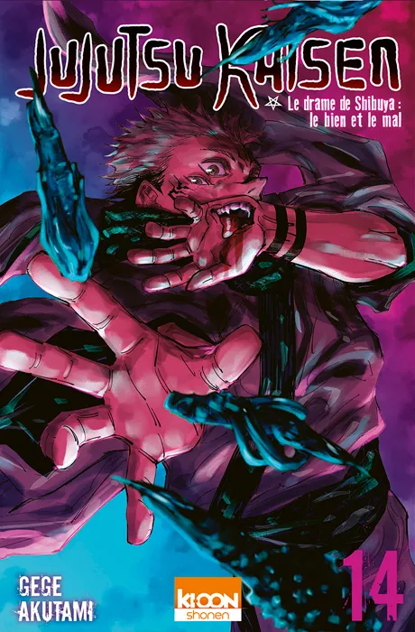 Jujutsu Kaisen T14